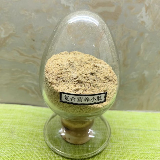 Peptídeos Compostos de Ervas Aditivos para Alimentação Animal Solúvel em água Anti-inflamatório 0