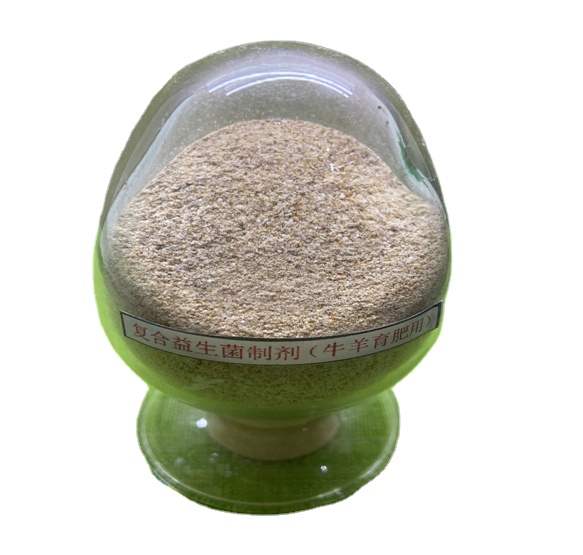 Guanidina ácido acético prebióticos probióticos mistura em pó Probióticos vivos eficazes 2 mil milhões para ração de ruminantes 0