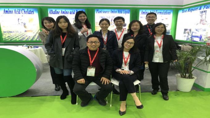 Ácido acidificante em pó branco Fumárico Formato de cálcio cítrico Láctico Ácido do estômago inferior PH 14