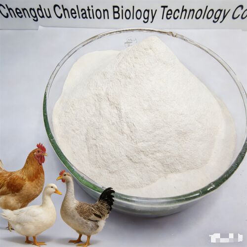 Latest company news about Proteína Orgânica Ferro Quelatado 20% | Aditivo para alimentação de aves de alta eficiência